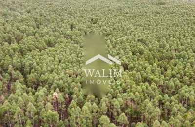 Fazenda à venda, 9960000 m² por r$ 12.000.000,00 - zona rural - coração de jesus/mg