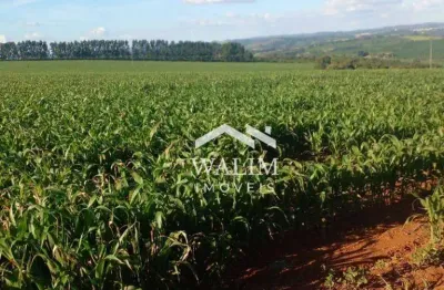 Oportunidade imperdível: fazenda de 500 hectares no campo das vertentes, mg