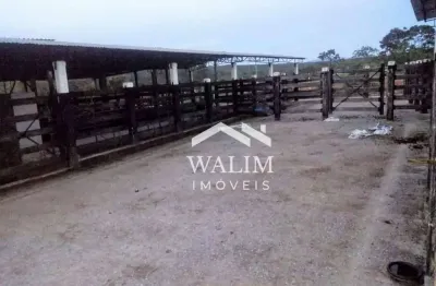 Fazenda à venda 163 hectares, santana de pirapama, mg,  r$ 3.000.000,00