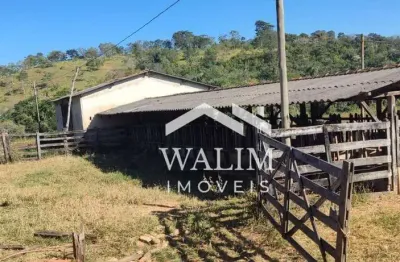 Fazenda de 123 hectares à venda em são vicente (baldim) – oportunidade única para agropecuária e investimento!