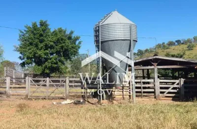 Fazenda de 123 hectares à venda em são vicente (baldim) – oportunidade única para agropecuária e investimento!