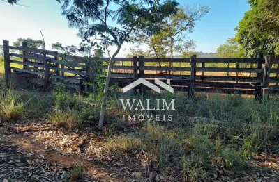 Fazenda de 78 hectares à venda próximo a são josé de almeida – terra fértil, água abundante e lucro imediato!