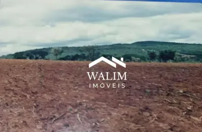 Fazenda de 78 hectares à venda próximo a são josé de almeida – terra fértil, água abundante e lucro imediato!