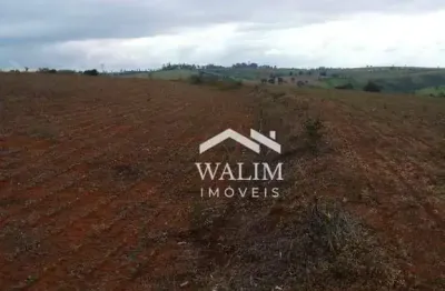 Fazenda de 240 hectares à venda em bambuí/mg – terra fértil para lavouras e agroindústria!
