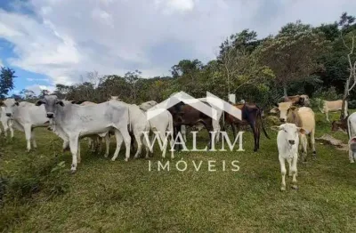 Terreno/fazenda à venda - 504 - hectares, conceição do mato dentro/mg