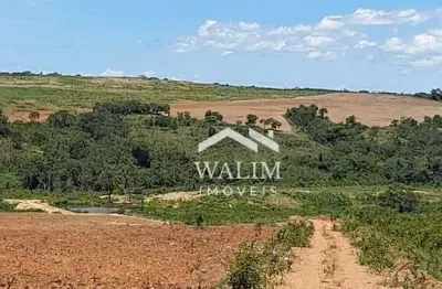 ??? fazenda à venda em codisburgo/mg - 260 hectares de potencial e beleza natural!