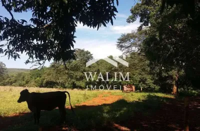 Fazenda à venda com 153,40 hectares, oportunidade imperdível — propriedade rural entre curvelo e felixlândia/mg