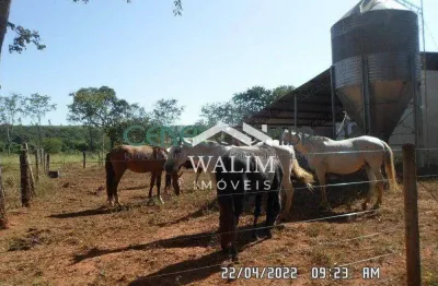 ??? fazenda excepcional - 70 hectares de oportunidade estratégica! ??