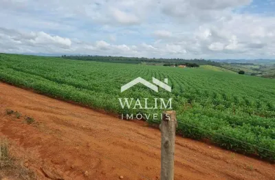 ???? fazenda de café premium à venda em piumhi-mg – 52 hectares de oportunidade!