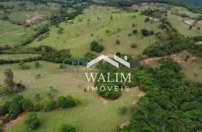 ???? fazenda à venda com 96 ha em bonfim/mg – produtividade, beleza e sustentabilida