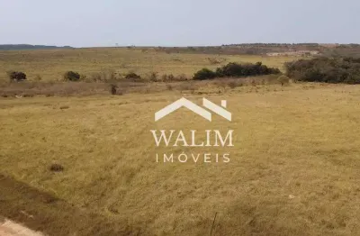 Exclusivo! fazenda de 650 hectares em felixlândia (mg) – oportunidade no agronegócio!