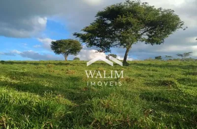 ??? oportunidade única! terreno de 50 hectares na beira do asfalto em passa tempo (mg) ???
