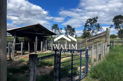 Fazenda com 2 salas à venda na Praça Benedito Valadares, Zona Rural, Curvelo