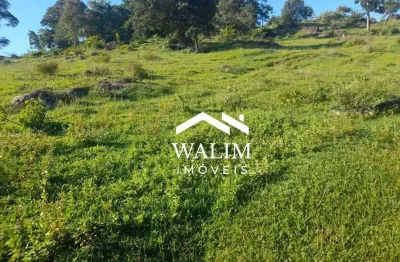 ?? fazenda à venda de alto potencial agropecuário, região de formiga a santo antônio do monte, mg, 204 hectares