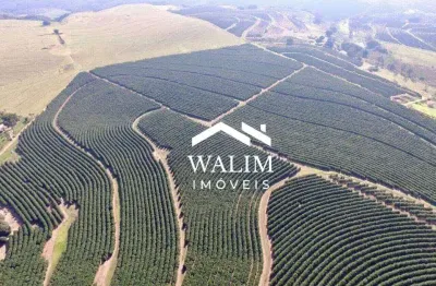 ?? fazenda de elite no coração do agronegócio brasileiro, à venda área total: 786,88 hectares (325 alqueires paulistas),