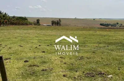 ?? fazenda de pecuária de alto desempenho – garça/sp ?? oportunidade para investidores que buscam escala e praticidade