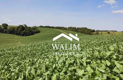 Fazenda premium em itapetininga-sp 611 alqueires | 1.478,62 hectares | r$ 280 milhões