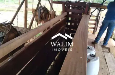 Fazenda  à venda, 113 hectares em curvelo/mg (região da garça - pronta para produção agrícola e pecuária!)