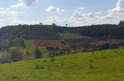? fazenda  cafeeira e leiteira à venda com potencial de expansão – 155 hectares | são josé da barra – mg | r$ 17 milhões
