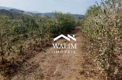 ?? fazenda de cafeeira à venda, 72,60 hectares, 150 mil pés de café – campanha, mg