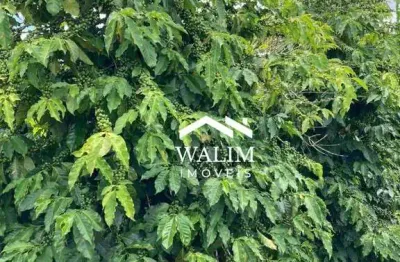 Fazenda com 4 dormitórios à venda, 995000 m² por r$ 14.500.000,00 - zona rural - serrania/mg