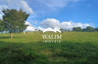?? terreno com 50 hectares à venda em passa tempo – mg!