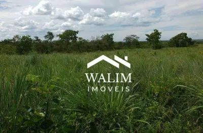 ?? oportunidade imperdível, 467 hectares – fazenda à venda em buritizeiro/mg