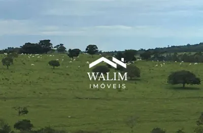 ?? fazenda à venda – divinópolis / mg  ? 149 hectares prontos para alta produtividade!