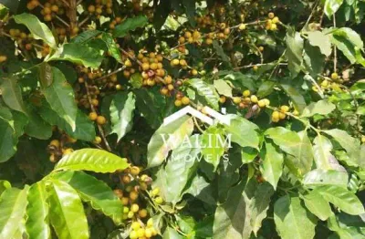 ?? fazenda cafeeira à venda produtiva à venda | 236 hectares | mg, sul de minas, três corações