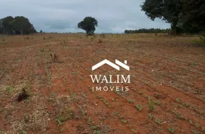 Fazenda à venda  1.100 hectares  nepomuceno/mg  r$ 110.000,00