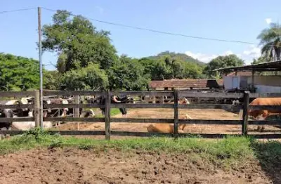 ?? fazenda espetacular à venda em conceição do pará – mg, 201 hectares!
