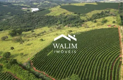 ?? fazenda cafeeira à venda em são sebastião do paraíso - mg ?? produção, água em abundância e acesso fácil!