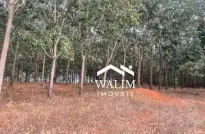 ?? fazenda à venda – 480 hectares de riqueza e produtividade em piumhi – mg ??