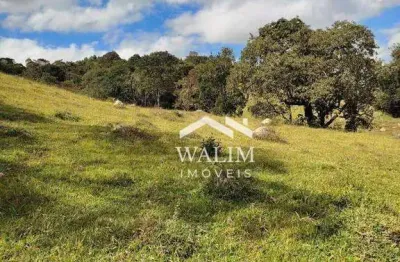 ?? terreno de 10 hectares à venda em piedade dos gerais, mg | ideal para agricultura e pecuária