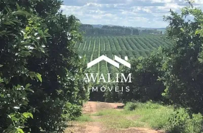 Fazenda com 2 salas à venda na Rua Outono, Área Rural de Belo Horizonte, Belo Horizonte
