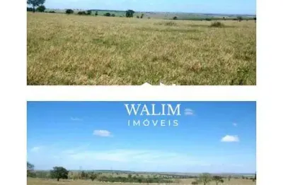 Fazenda de 1.017 alqueires – pecuária e cultura (dupla aptidão) ????