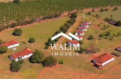 Fazenda exclusiva à venda, 1275 alqueires paulista – presidente prudente/sp ????