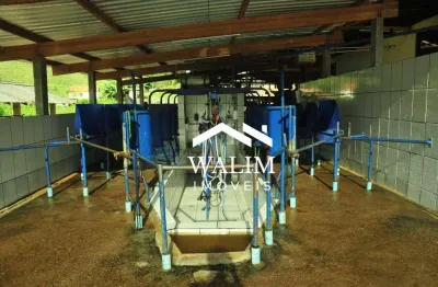 Fazenda leiteria, café, mista, à venda, r$6.400.000,00,  314 hectares em liberdade, mg