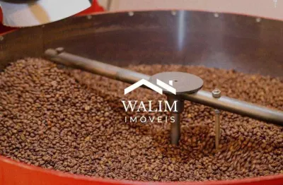 Fazenda cafeeira à venda – 95 hectares de café - oportunidade única no sul de minas