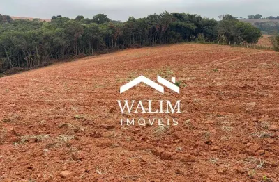 Fazenda à venda  citros, café ou lavoura branca – 45 alqueires paulistas, 109 hectares