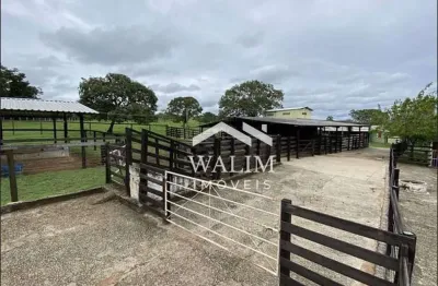 Fazenda com 2 salas à venda no Centro, Araújos 