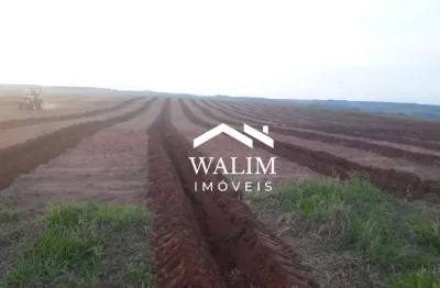 ?? fazenda de café e pecuária – região de garça/sp  325 alqueires (786 hectares) – dupla aptidão – porteira fechada