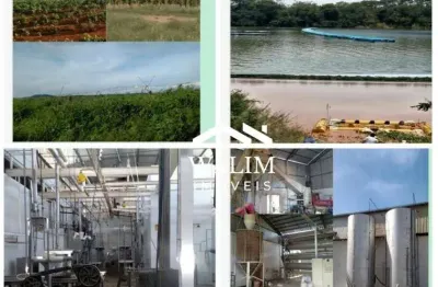 ?? fazenda frigorífico – 60.388 hectares,  ?? r$ 650.000.000,00 (seiscentos e cinquenta milhões de reais)