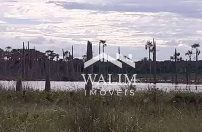 Fazenda com 2 salas à venda no Centro, Bonito de Minas 