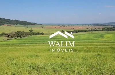 Fazenda à venda, 212 hectares, r$26,5m, pecuária leiteira e de corte – estrutura de alto nível na região de brotas (sp)