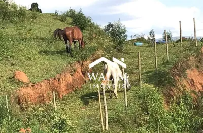 Chácara / sítio com 3 quartos à venda na Zona Rural, Moeda 