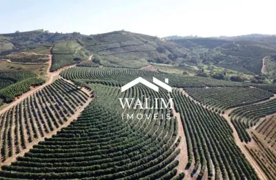 Fazenda  café à venda, 401 hectares, R$ 50.000.000 - Zona Rural - Muzambinho/Guaxupé/MG