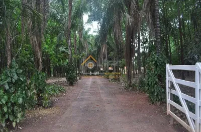 Chácara / sítio com 4 quartos à venda na zona rural, cosmorama  por r$ 1.950.000