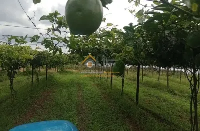 Chácara / sítio à venda no abaitinga, são miguel arcanjo  por r$ 1.150.000