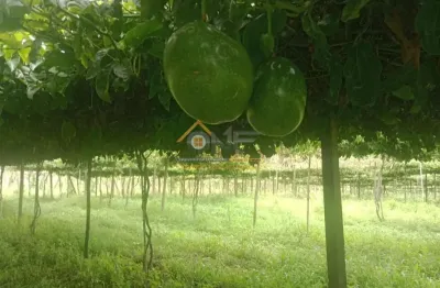 Chácara / sítio à venda no abaitinga, são miguel arcanjo  por r$ 450.000